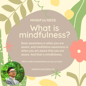 Read more about the article What is Mindfulness?