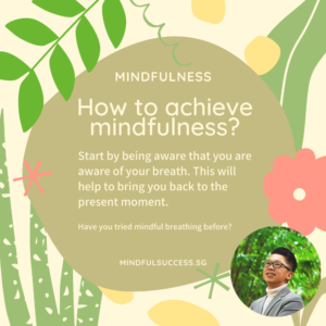 Read more about the article How to Achieve Mindfulness?