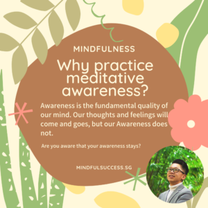 Read more about the article Why Practice Meditative Awareness?