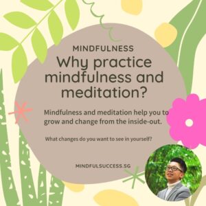 Read more about the article Why Practice Mindfulness and Meditation?