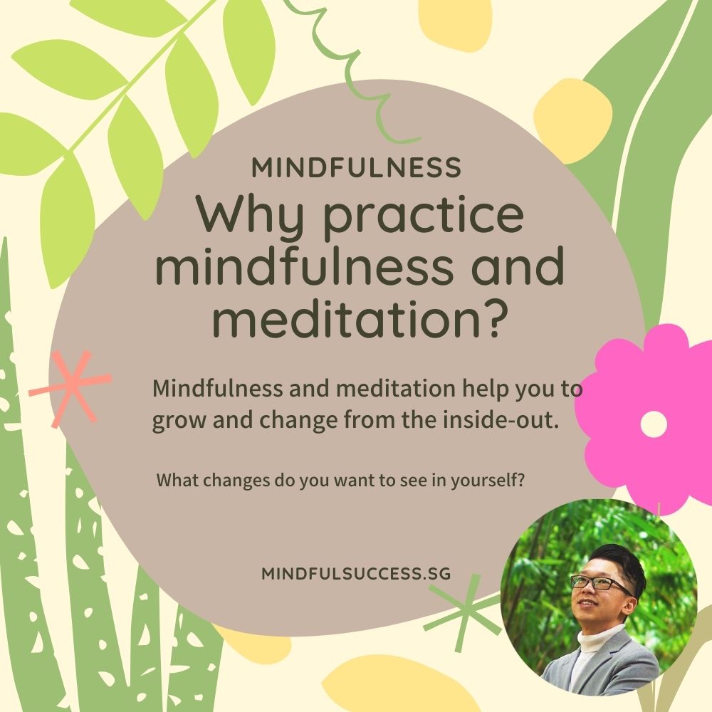 Read more about the article Why Practice Mindfulness and Meditation?
