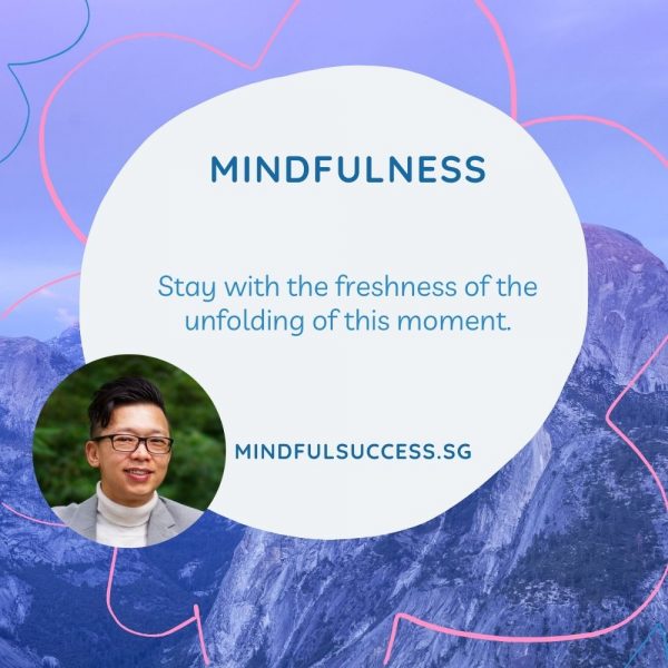 Mindfulness-mindfulsuccess-meng-chan-Mindfulness-unfolding of this moment